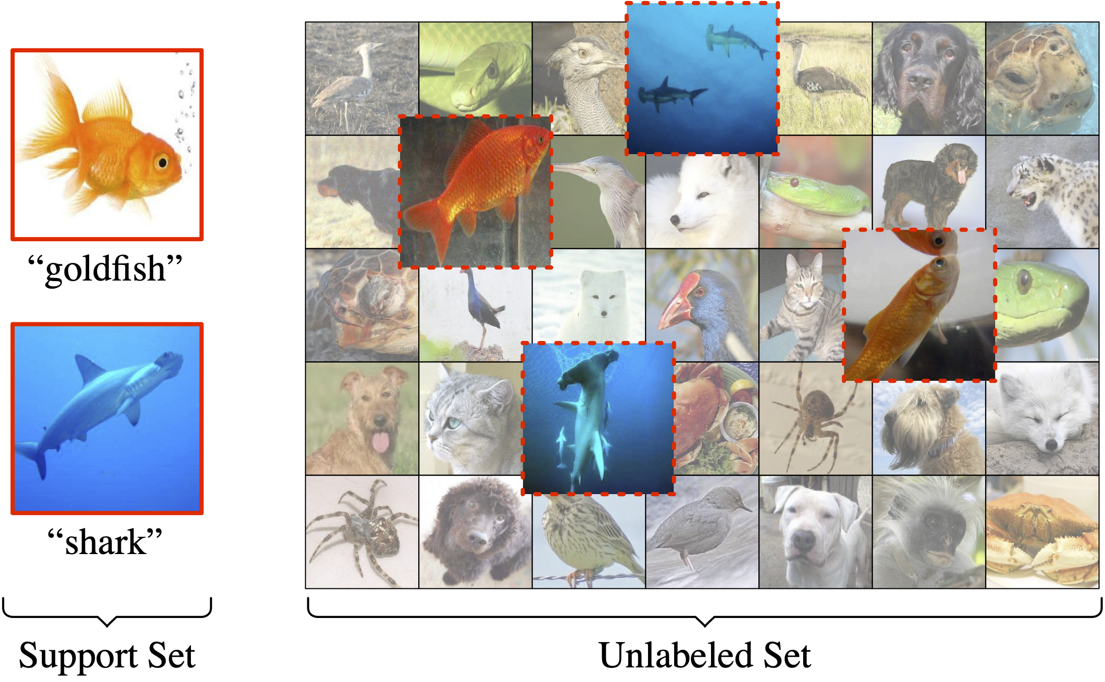 Consider a setup where the aim is to learn a classifier to distinguish between two previously unseen classes, goldfish and shark, given not only labeled examples of these two classes, but also a larger pool of unlabeled examples, some of which may belong to one of these two classes of interest. In this work we aim to move a step closer to this more natural learning framework by incorporating in our learning episodes unlabeled data from the classes we aim to learn representations for (shown with dashed red borders) as well as from 