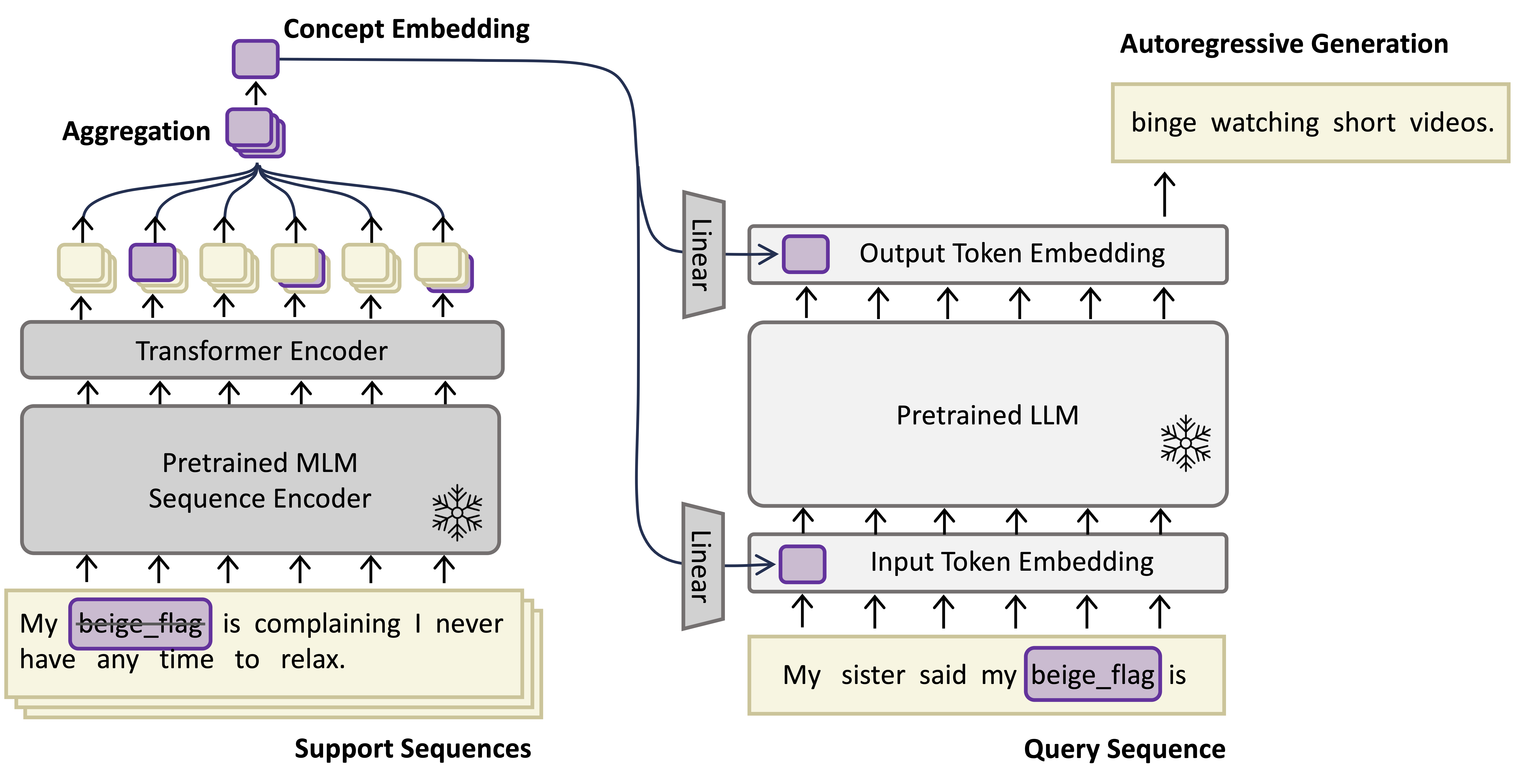Our proposed CoLLEGe framework for concept embedding generation. Support sequences are embedded by a pretrained MLM (e.g. RoBERTa) with an additional Transformer encoder to produce pooled sequence embeddings for each support sequence. These are aggregated and projected into the input and output embedding space for the pretrained LLM (e.g. LLaMA). According to UrbanDictionary, 